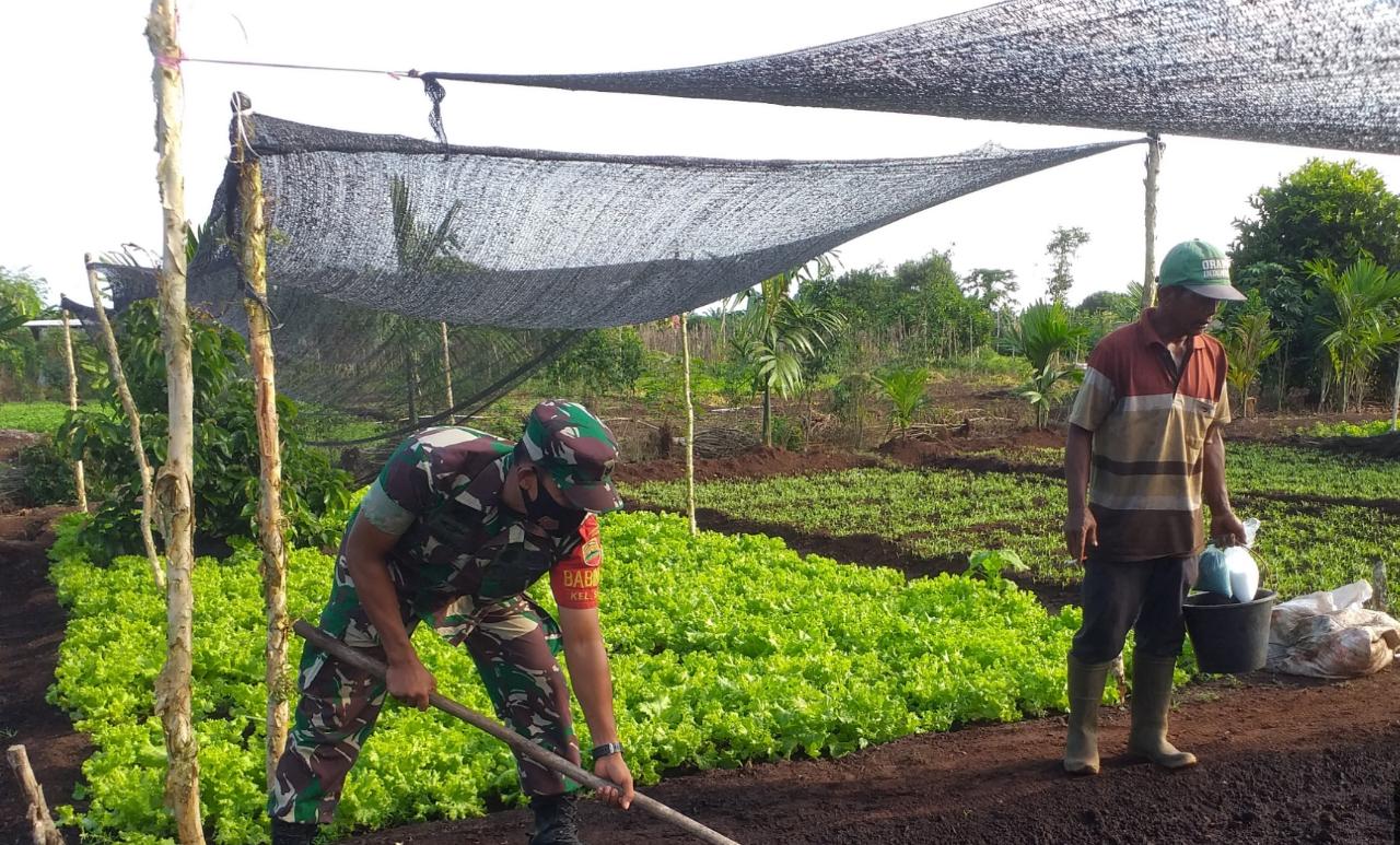 Semangat Sertu Sugianto di Bulan Puasa Melaksanakan Giat Pendampingan Karya Nyata