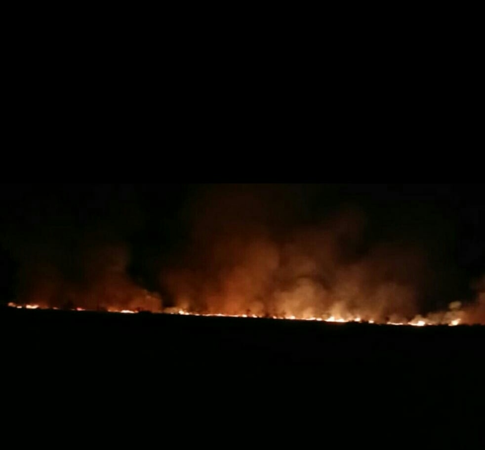 Tadi Malam Karhutla Kembali Terjadi, Disini Tempatnya