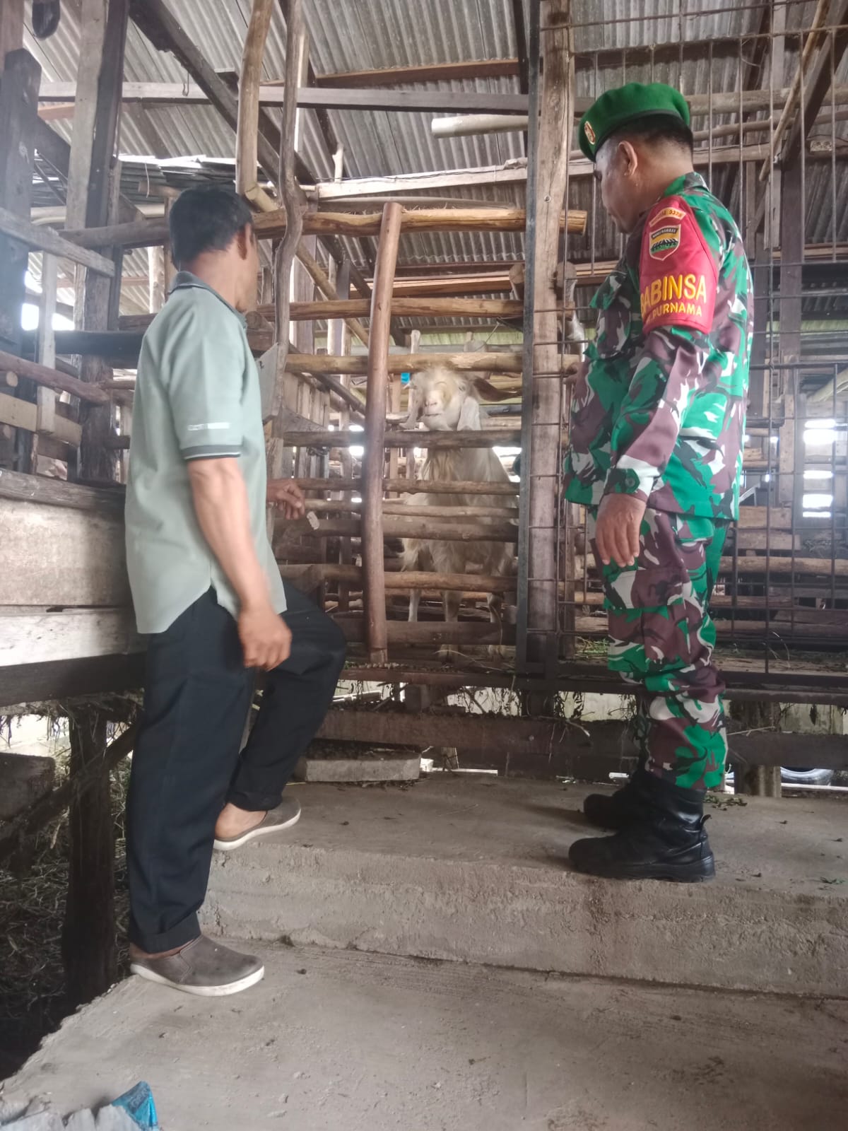 Giat Pencegahan PMK Oleh Sertu Mahyudin