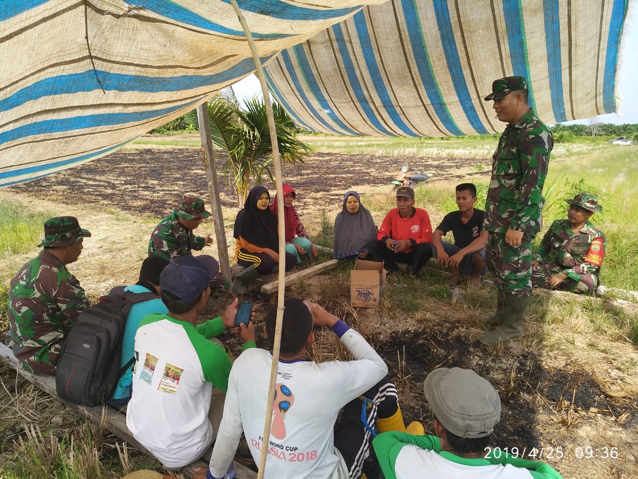 Dukung Ketahanan Pangan, Demplot Kodim 0320/Dumai Tanam Padi