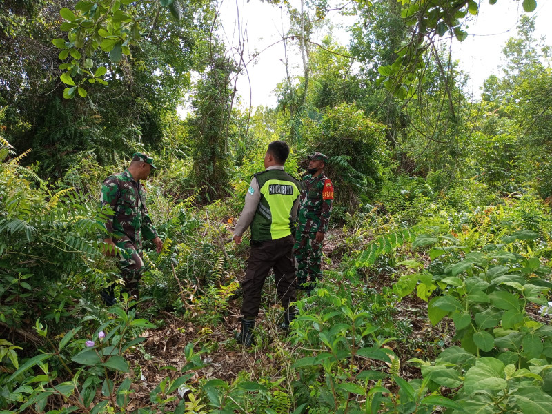 Melalui Babinsanya, Koramil 06 Merbau Melaksanakan Patroli Cegah Karhutla