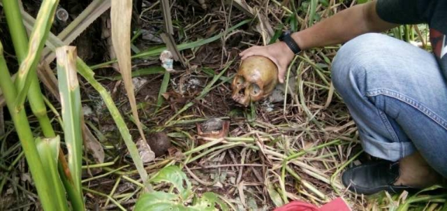 Penemuan Tengkorak Manusia di Inhil