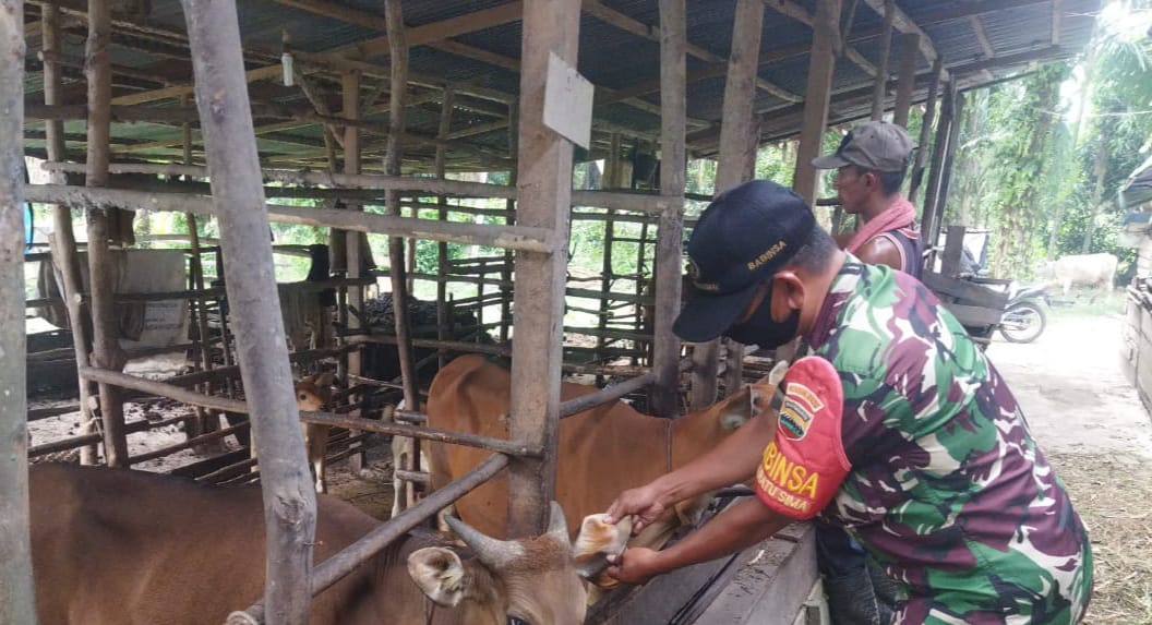 Giat Cegah PMK Terus Dilaksanakan