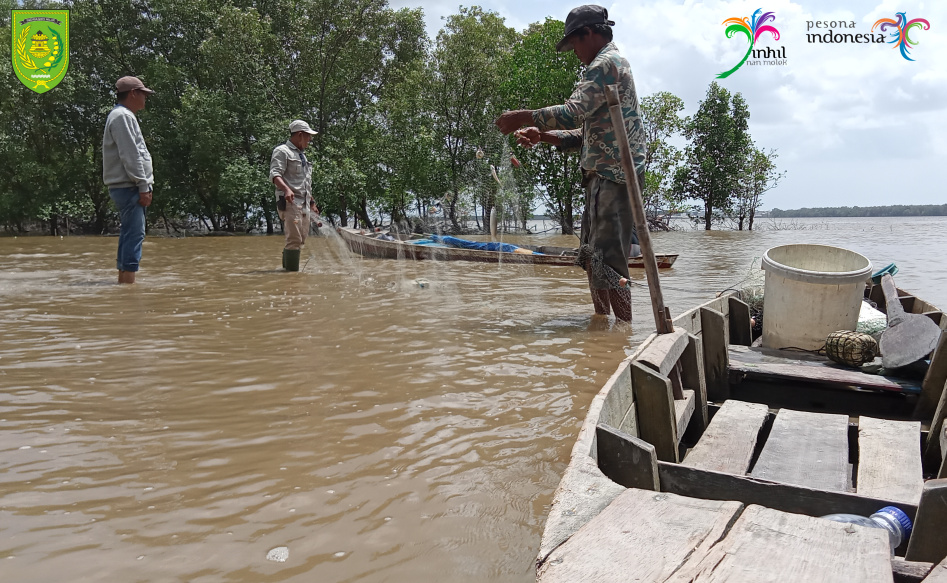 Puluhan Jenis Biota Laut Ada di Perairan Pantai Terumbu Mabloe