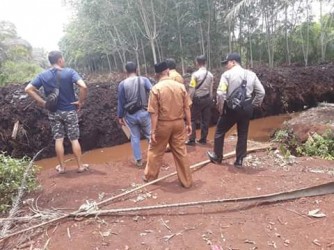 Viral WNA Potong Jalan di Rupat, Ini Penjelasan Kapolsek