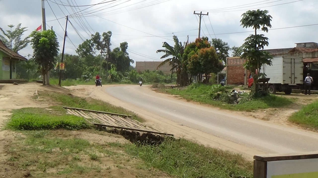 Dimasa Pandemi Covid 19, Sektor Pertanian di Jambi Terus Tumbuh