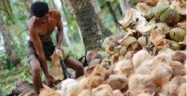 Perusahaan Singapura Tawarkan Kerjasama Pasarkan Produk Kelapa Inhil