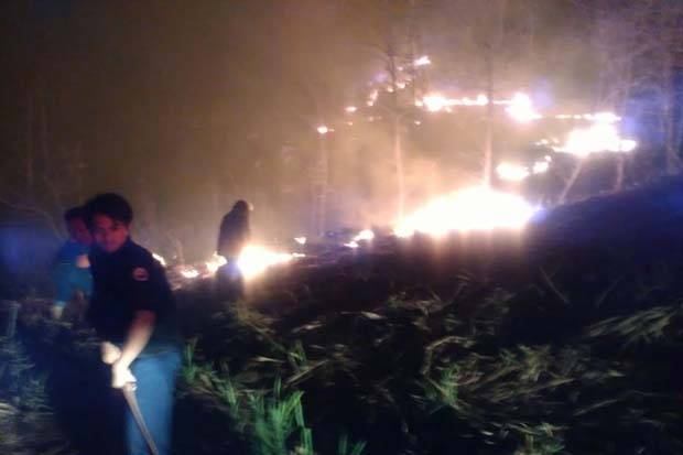 Jarak Pandangan di Pekanbaru Semakin Memburuk, Akibat Kabut Asap