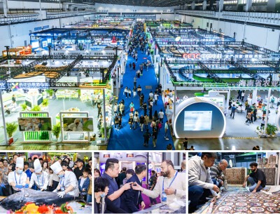 Pameran Perdagangan Musim Dingin Hainan Hubungkan Pasar Global, Buka Peluang Pertanian di Pelabuhan Perdagangan Bebas
