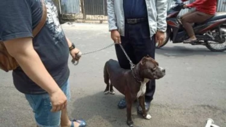 Satpam Ditahan, Kasus Dihentikan