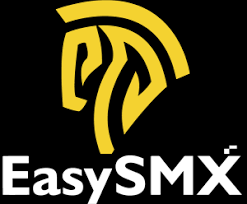 EasySMX Launches S10 Lite: The Top Budget Switch 2 Controller with Native Support & 9-Axis Precision