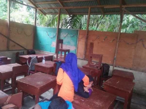 Sejumlah SD di Pelalawan akan Diperbaiki
