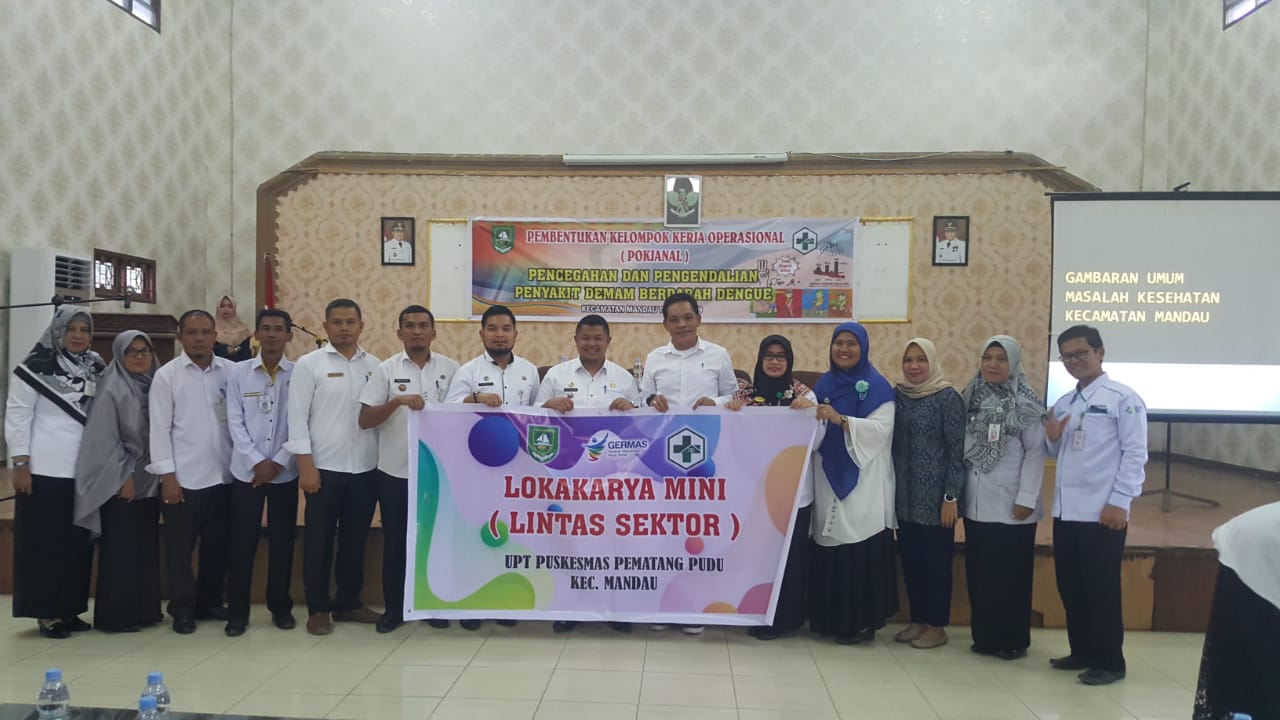 Pokjanal Pencegahan dan Pengendalian DBD Kecamatan Mandau Resmi Dibentuk