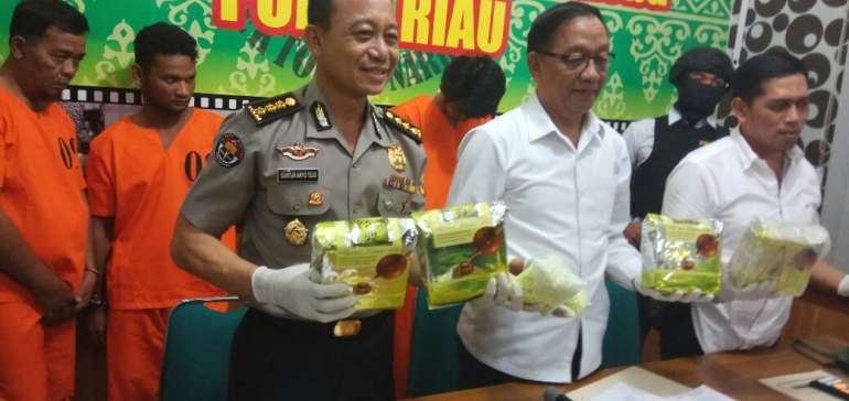 Kasus Narkoba di Riau Meningkat Tajam Selama 2018