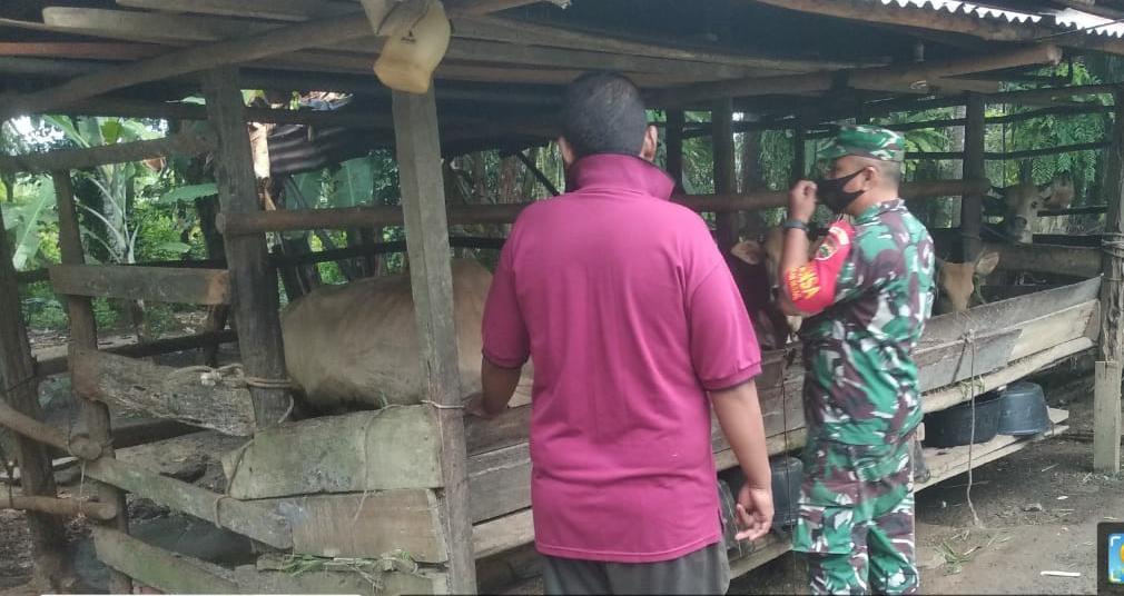 Sosialisasi dan Himbauan Pencegahan PMK
