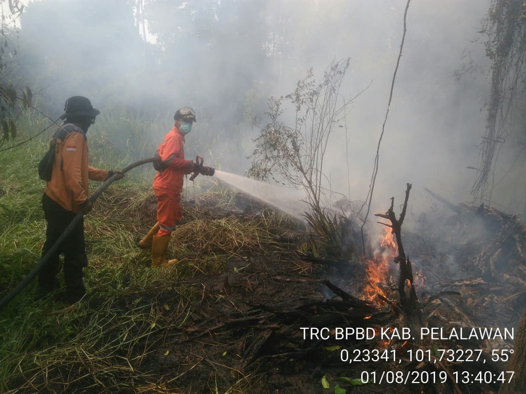 Usai dari Langgam, Kali ini Api Membakar Desa Sering