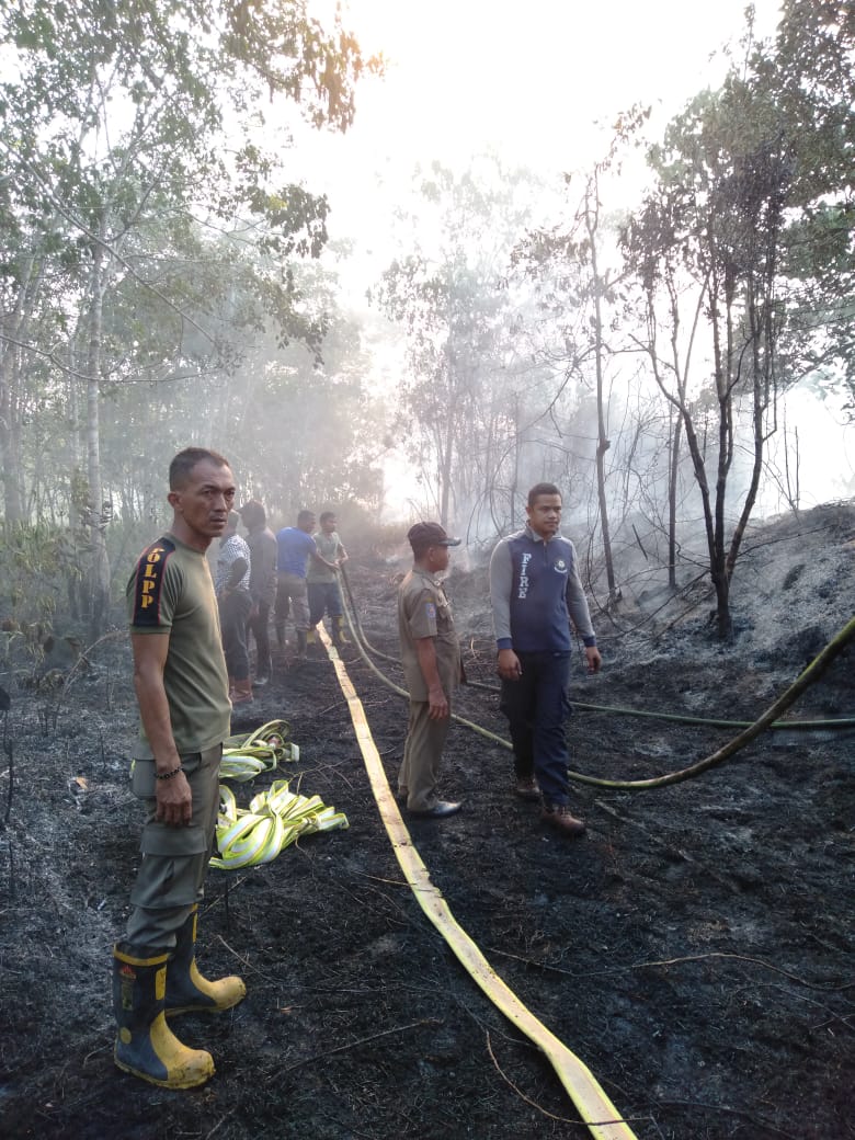 Lahan Terbakar di Langgam Telah Padam Tim Masih Melakukan Pendinginan