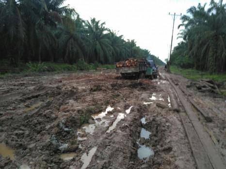 Jalan Rusak Parah, Warga Basilam Baru Butuh Perhatian Pemko Dumai