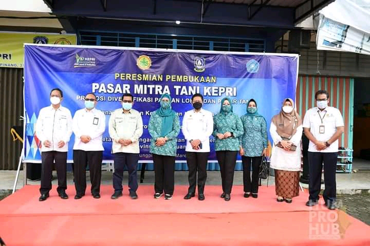 Jangan Lagi Tergantung Dengan Nasi, Ketua PKK Dewi Ansar Resmikan Pembukaan Pasar Mitra Tani