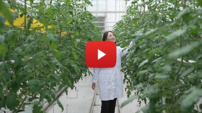 Tracking the unseen: How Chinese agricultural experts tackle invisible pollution in Yangtze River protection