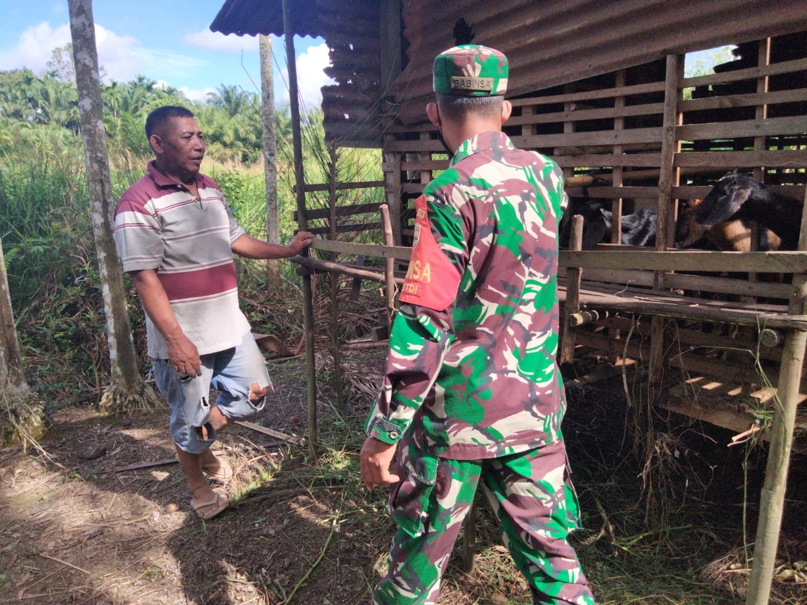 Cek Kesehatan Hewan Ternak, Sertu Sugianto Sambangi Peternak