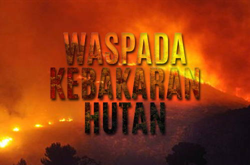 772 Ha Lahan Terbakar Selama Februari 2018