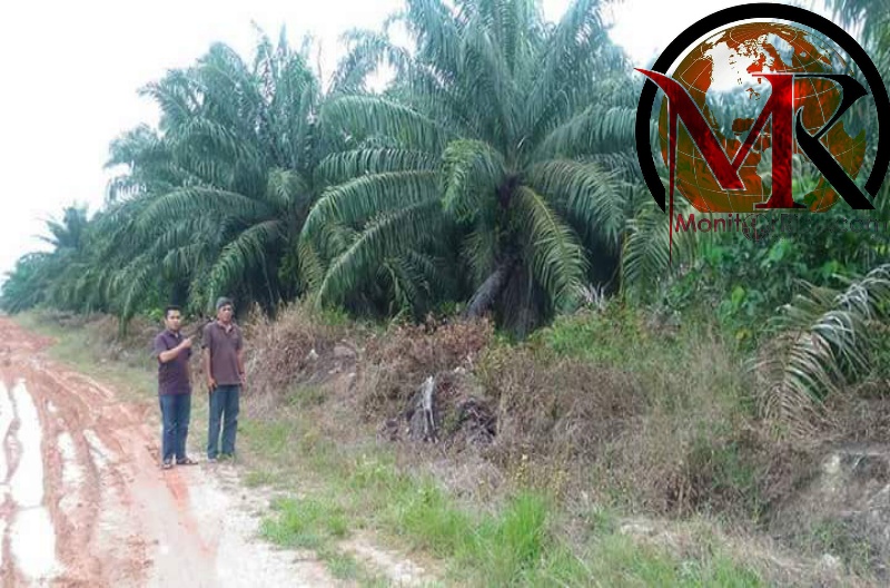 PB HPPMSR mengutuk keras terhadap PT. CPI dan PT Murini Wood