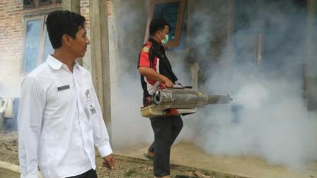 95 Persen Faktor DBD di Rohul Disebabkan Penumpukan Ban Bekas