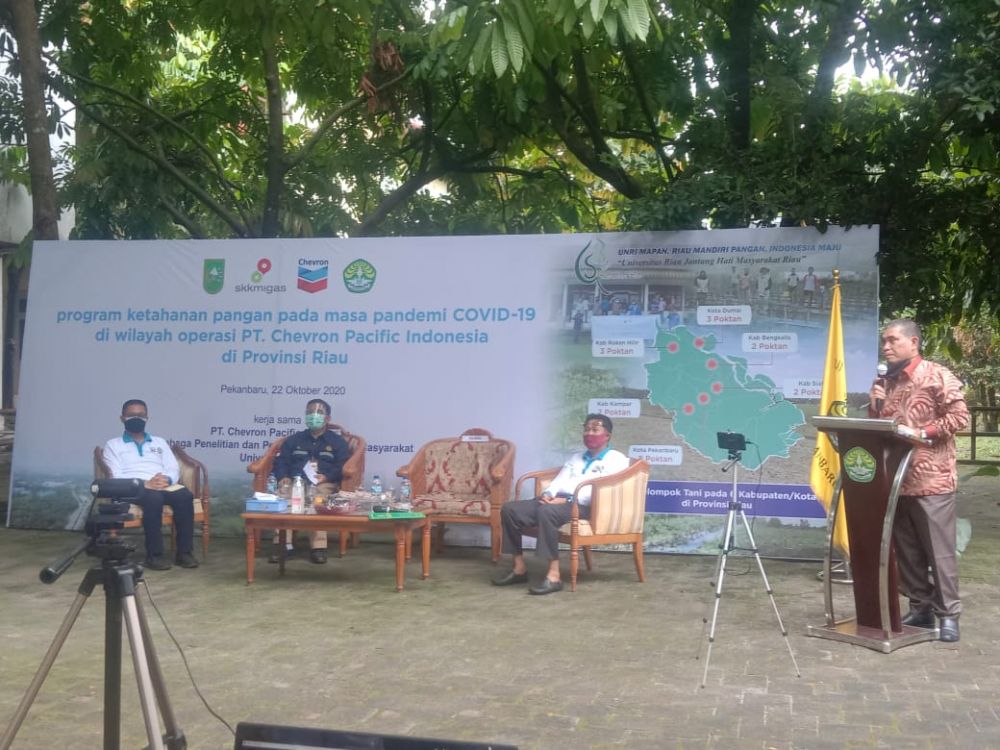 Ditengah Pandemi, Sektor Pertanian di Riau Meningkat