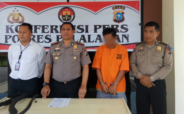 Lahan PT RAPP Terbakar, Polisi Tangkap Pelakunya