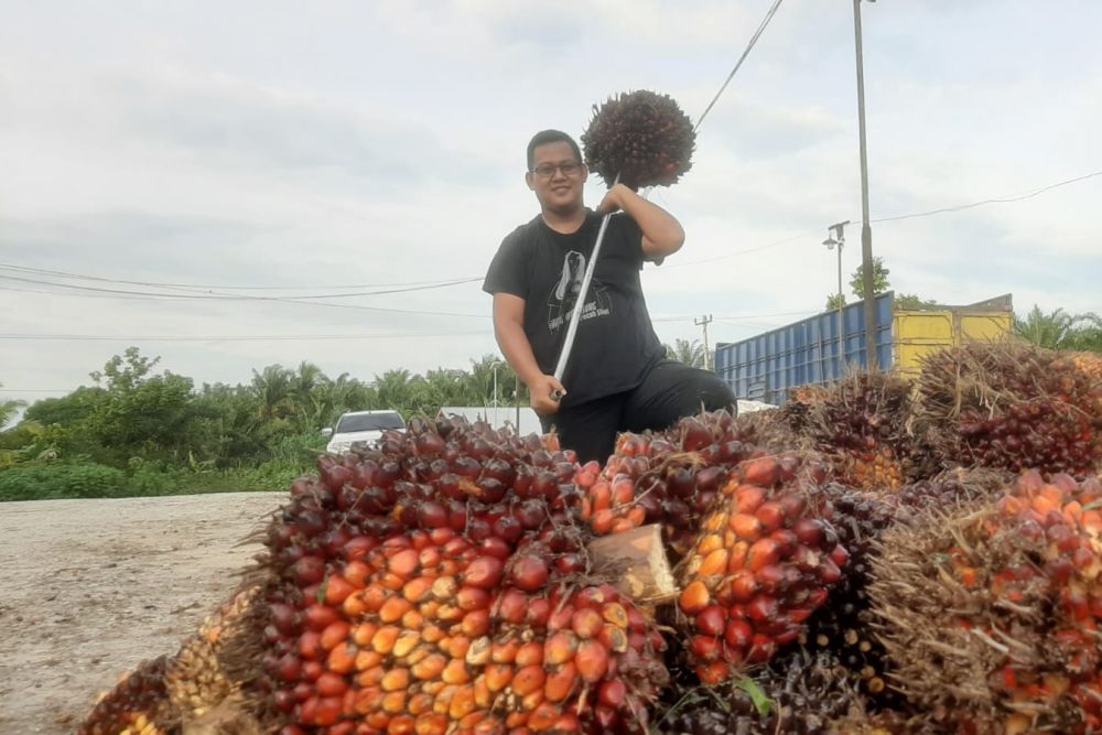 Tanah Riau Subur, 45 Jenis Komoditi Diekspor