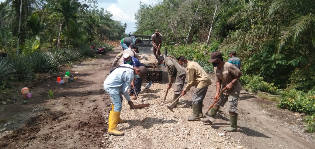 Apical Dumai Bantu Perawatan Jalan Sukabumi RT 06, Kelurahan Lubuk Gaung Dumai
