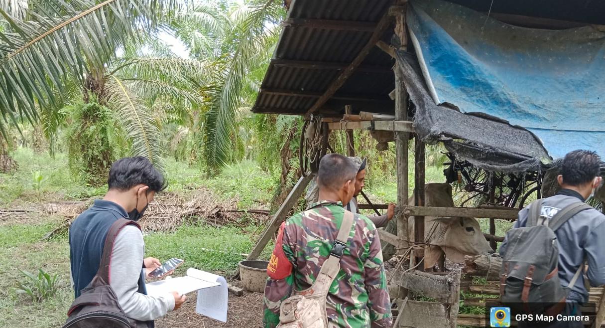 Koptu Bambang Bantu Dinas Terkait Cek Kesehatan Hewan Ternak