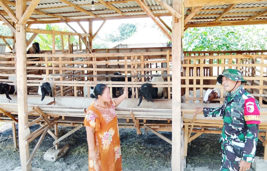 TMMD 129 Bojonegoro: Babinsa Kesongo 'Sentuh Hati' Peternak Kambing
