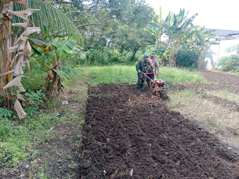 Babinsa Kelurahan Purnama Dampingi Petani Persiapkan Lahan Tanaman Bayam