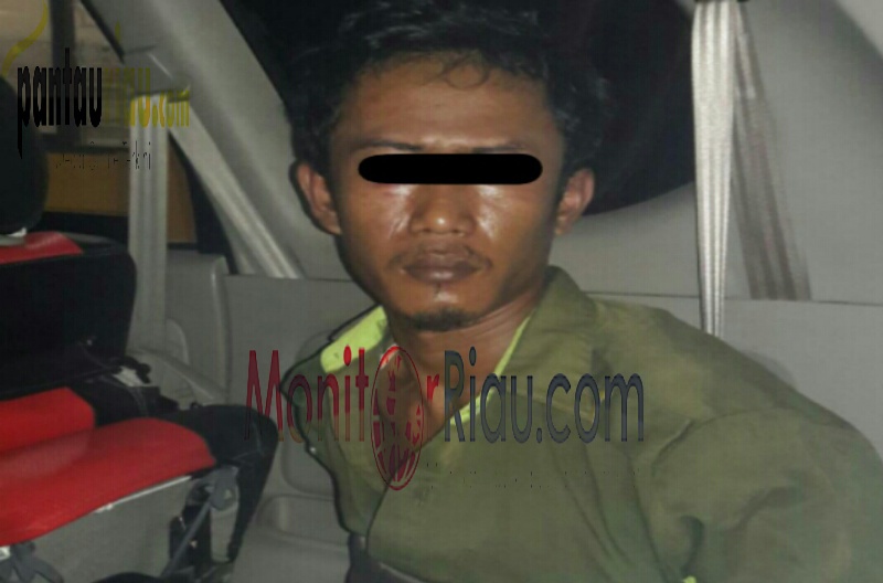 Cabuli Anak Dibawah Umur, Karyawan Perkebunan di Pinggir Bengkalis Dibui