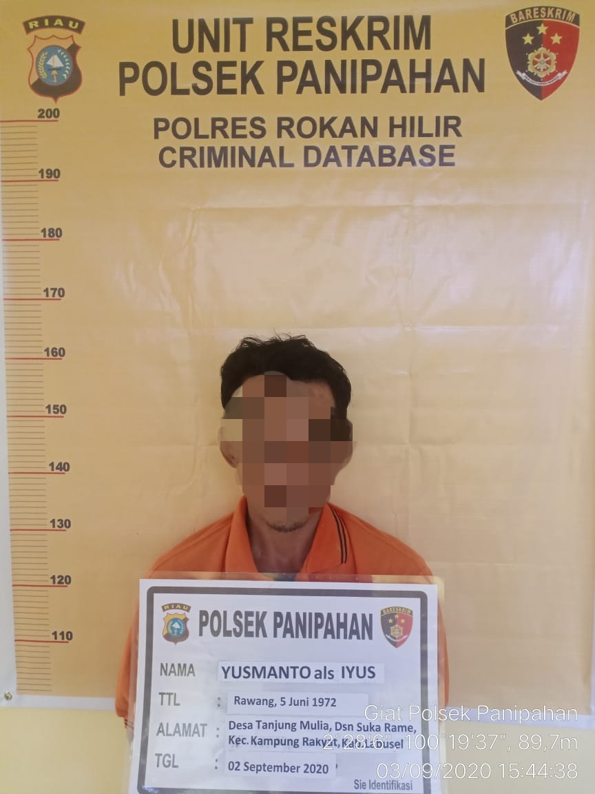 Pria Beristri Minta Pegang Kemaluan di Panipahan Dicokok Polisi