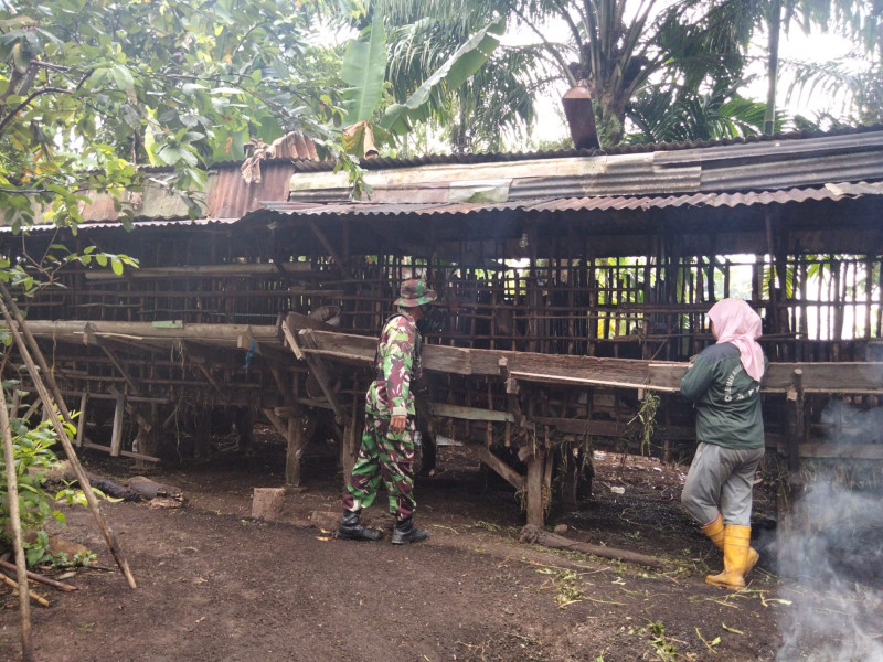 Giat Babinsa STDI Laksanakan Sosialisasi Pencegahan PMK