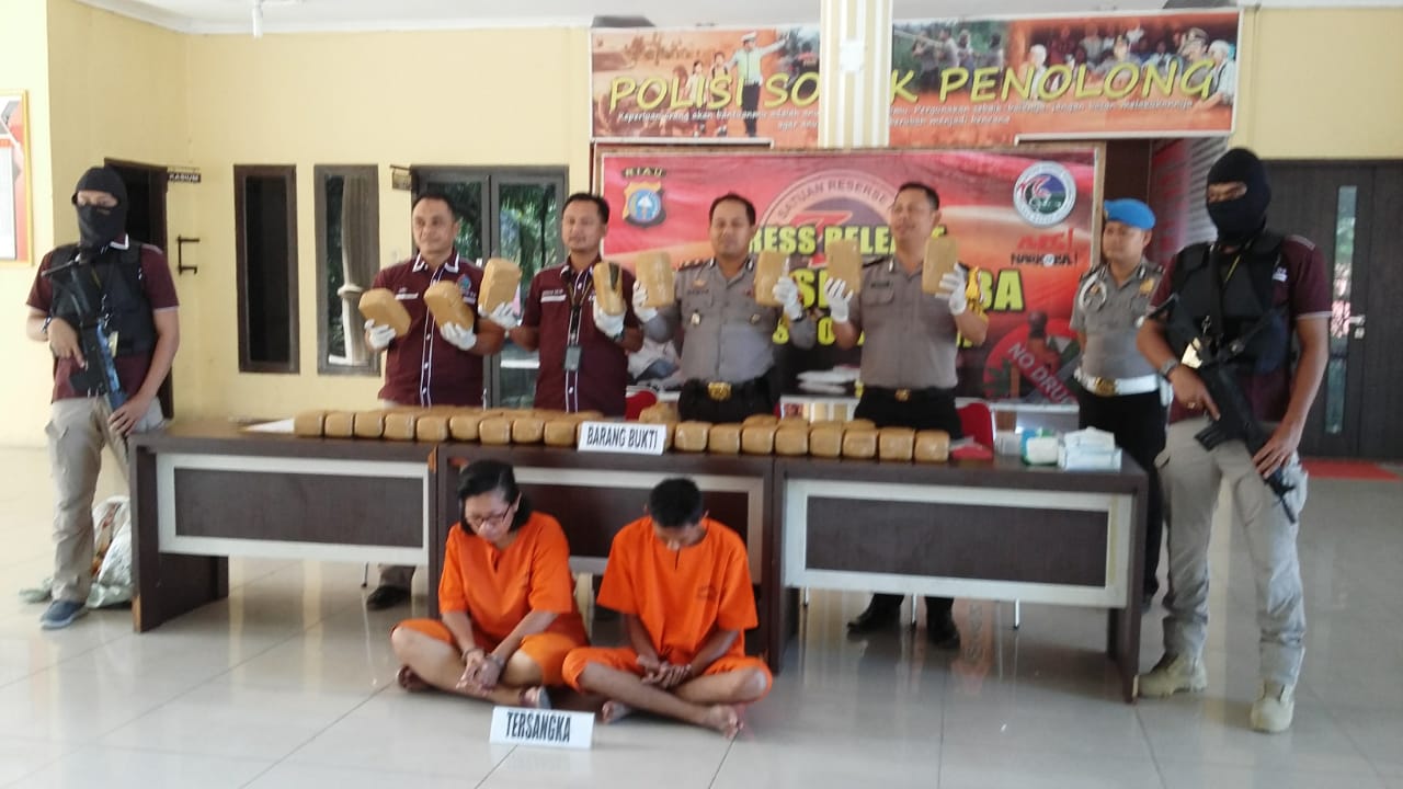 Sat Narkoba Rohil Ungkap 40 Kilogram Ganja Kering Asal Aceh