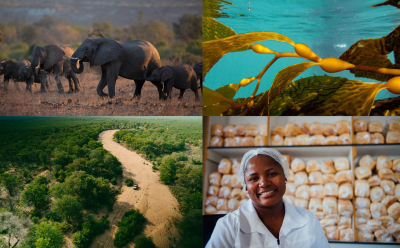 De Beers Group Advances Building Forever Goals with Significant Progress on Livelihoods, Nature, Climate and Provenance