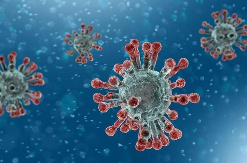 Lagi, 1 Warga Rohul Masuk PDP,  2 Orang Dinyatakan Negatif Virus Corona
