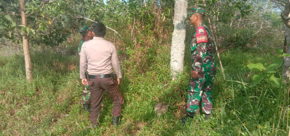 Pencegahan Kebakaran Hutan dan Lahan Dilaksanakan Oleh Babinsa