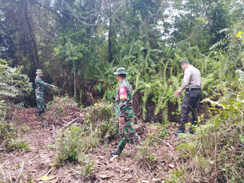 Sinergitas Antara Babinsa Koramil 06 Merbau Cegah Karhutla