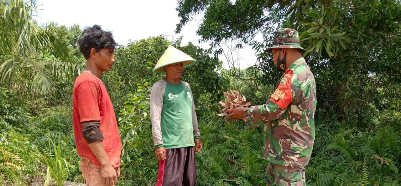 Patroli Cegah Karhutla Serka Suandi Berjalan Lancar