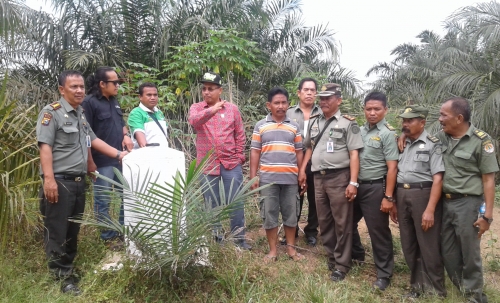 Luas Hutan Lindung Bukit Betabuh Kian Berkurang