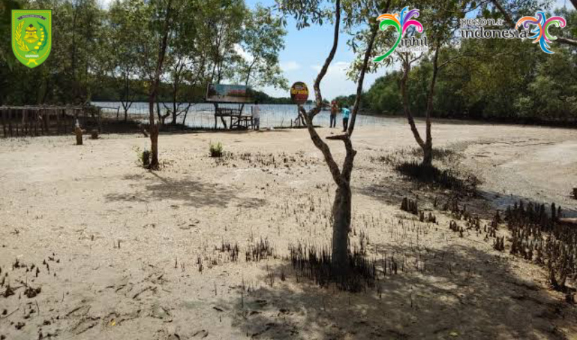 Destinasi Ekowisata Pesisir Inhil