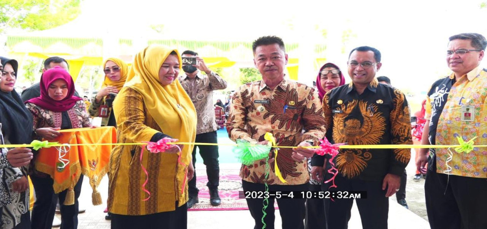 Bupati Afrizal Sintong Resmikan UPT Instalasi Farmasi Dinkes Rohil