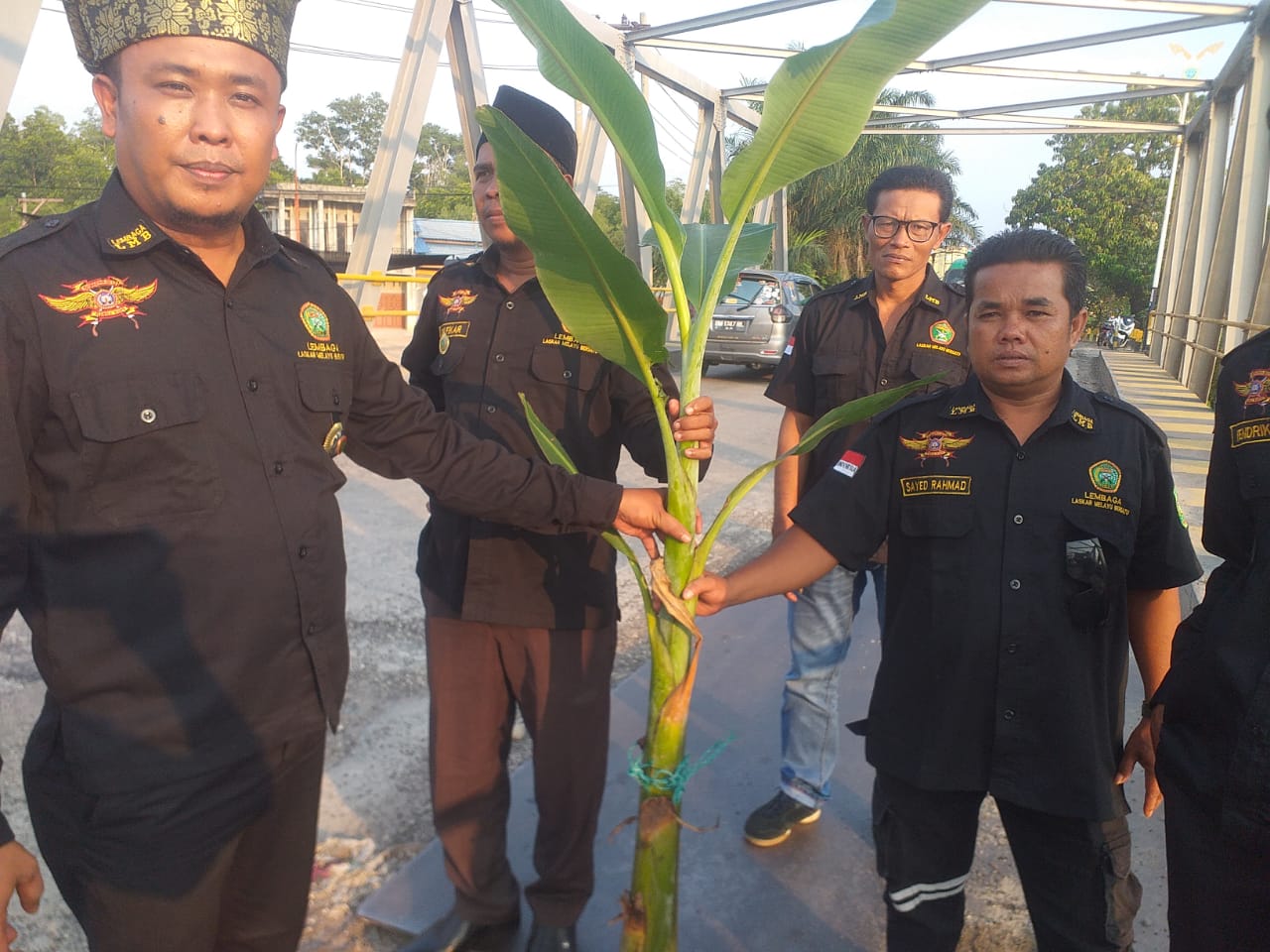 Jembatan Tak Kunjung Diperbaiki, LLMB Sungai Sembilan Lakukan Aksi Penanaman Pohon Pisang