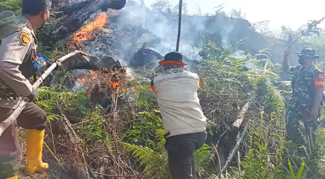 Karhutla di Kabupaten Rokan Kian Meluas