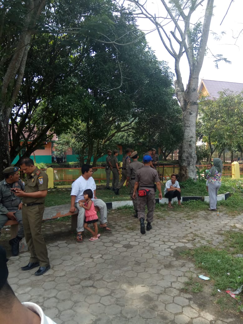 Satpol PP Pelalawan Tertibkan PKL, Peralatan Jualan di Boyong Ke Kantor